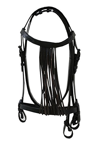 AMKA Spanische Trense mit Leder Fransenstirnband und Lederzügel Vaquero Zaum 005/105 AMKA Spanische Trense mit Leder Fransenstirnband und Lederzügel Vaquero Zaum 005/105 von AMKA