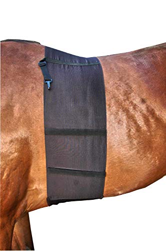 AMKA Sporenschutzgurt für Pferde Sporenschutz Bandage Schutz KLEIN GESCHNITTEN! von AMKA