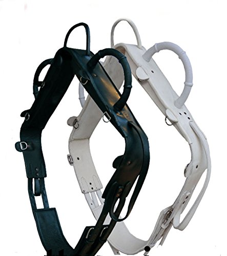 AMKA Voltigiergurt Master Gurt zum Voltigieren Voltigierbedarf Gr. Warmblut 057/86, Weiss AMKA Voltigiergurt Master Gurt zum Voltigieren Voltigierbedarf Gr. Warmblut 057/86, Weiss von AMKA
