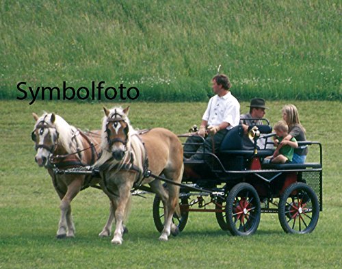 AMKA Zweispänner Geschirr, Shetty AMKA Zweispänner Geschirr, Shetty von AMKA