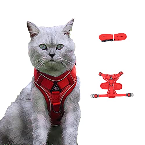 Amogato Katzengeschirr und Leine Set-Outdoor Walking Escape Safety Cat Vest, Adjustable Soft Kitty Vest, with Cat Reflective Strip, M,Red von AMOGATO