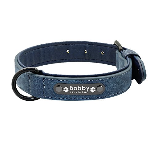 Hundehalsband, Hundehalsband, maßgeschneidert, Leder, Namensschilder für kleine, mittelgroße und große Hunde, 1 Stück, blau, L von AMOIZH