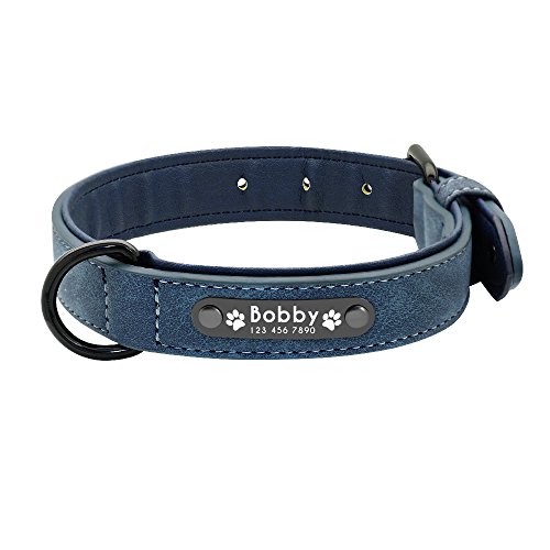 Hundehalsband, Hundehalsband, maßgeschneidert, Leder, Namensschilder für kleine, mittelgroße und große Hunde, 1 Stück, blau, M Hundehalsband, Hundehalsband, maßgeschneidert, Leder, Namensschilder für kleine, mittelgroße und große Hunde, 1 Stück, blau, M von AMOIZH