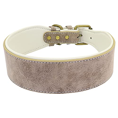 Hundehalsband, Leder-Hundehalsband, individuelle Halskette, breit, gepolstert, Haustier-ID-Halsbänder, Druck, Hunde, Namenshalsbänder für mittelgroße und große Hunde, 1 Stück, blanko, schwarz, 2 XL Hundehalsband, Leder-Hundehalsband, individuelle Halskette, breit, gepolstert, Haustier-ID-Halsbänder, Druck, Hunde, Namenshalsbänder für mittelgroße und große Hunde, 1 Stück, blanko, schwarz, 2 XL von AMOIZH