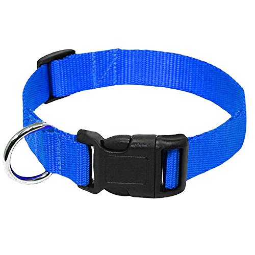 Hundehalsband, Nylongewebe, Hundehalsband, strapazierfähig, Clip-Schnalle, Haustierhalsband für kleine, mittelgroße Hunde, 20 Stück, blau, L von AMOIZH