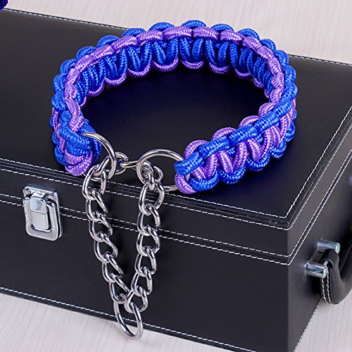 Hundehalsband, farbiges Hundehalsband, großer Hund, Schäferhund, verstellbar, für mittelgroße und große Hunde, 2 Stück, blau, lila, M 30 bis 40 cm Hundehalsband, farbiges Hundehalsband, großer Hund, Schäferhund, verstellbar, für mittelgroße und große Hunde, 2 Stück, blau, lila, M 30 bis 40 cm von AMOIZH