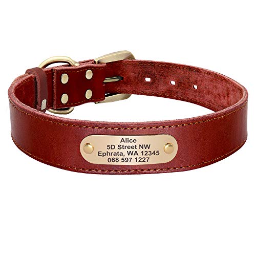 Hundehalsband, individuelles Leder-Hundehalsband, Leine, Set, maßgeschneidertes Haustierhalsband, Leine, kostenloses Gravur, Namensschild für kleine, mittelgroße und große Hunde, rotes Halsband XL Hundehalsband, individuelles Leder-Hundehalsband, Leine, Set, maßgeschneidertes Haustierhalsband, Leine, kostenloses Gravur, Namensschild für kleine, mittelgroße und große Hunde, rotes Halsband XL von AMOIZH