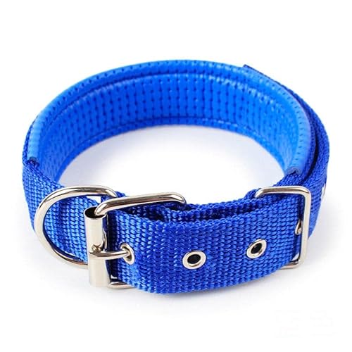 Hundehalsband, verstellbar, doppellagig, gepolstert, PP-Schaumstoff, Nackenband, weich, langlebig, für kleine, mittelgroße und große Hunde, 2 Stück, blau, XL, 3,0 x 60 cm Hundehalsband, verstellbar, doppellagig, gepolstert, PP-Schaumstoff, Nackenband, weich, langlebig, für kleine, mittelgroße und große Hunde, 2 Stück, blau, XL, 3,0 x 60 cm von AMOIZH