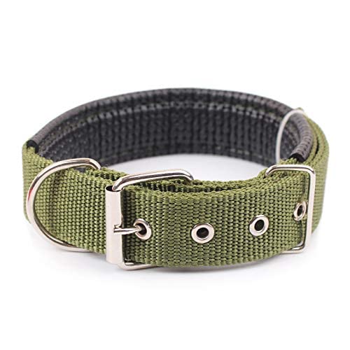Hundehalsband Custom Leather Dog Collar Leash Set Customized Pet Collar Leash Free Engraved Nameplate For Small Medium Large Dogs Green Set M von AMOIZH