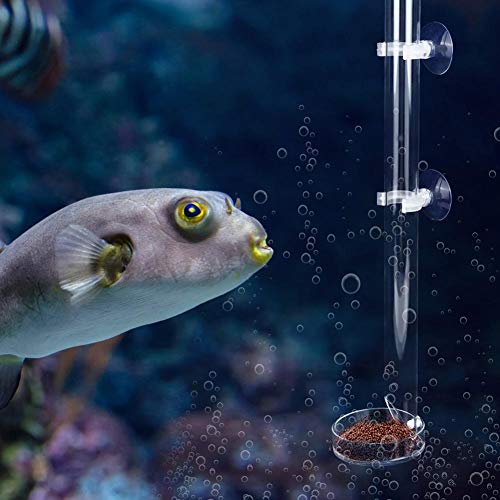 AMONIDA Aquarium Feeder für Kristall (Tube Length 20cm), Aquarium Zubehör für Tropische Fische und Garnelen von AMONIDA