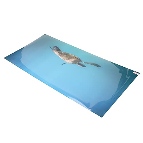 AMONIDA Aquarium-Hintergrundpapier, lichtbeständig, klares Bild, Aquarium-Dekoration, Poster, selbstklebend, geruchlos, giftig, frei von AMONIDA