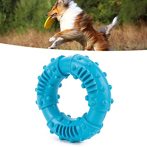 AMONIDA Hunde-Gummi-Zahnknirschspielzeug, Niedliches Aussehen, Hunde-Gummi-Zähneknirsch-Donut, rutschfest, Langlebig, Sicher, Interaktiv für Zuhause (Himmelblau) von AMONIDA