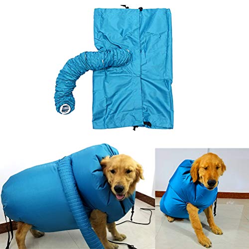 AMONIDA Hundeföhn, Haustiertrockner Blau Einfach zu Bedienen für den Laden (Blau) von AMONIDA