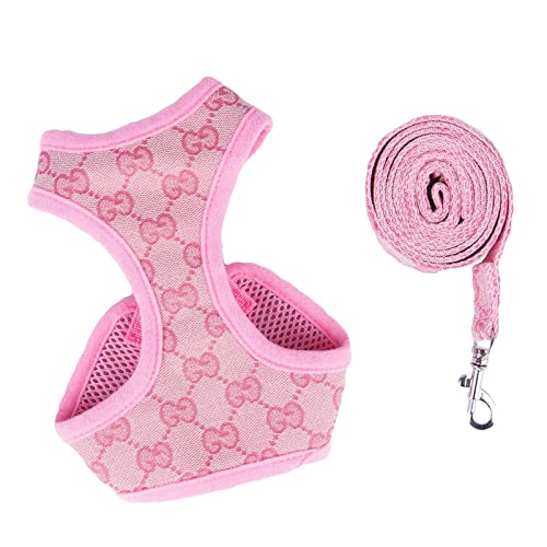 AMONIDA Hundeleine für Haustiere, atmungsaktiv, klassisch, fliehsicher, verstellbar, bequem, aus Polyester, für Spaziergänge AMONIDA Hundeleine für Haustiere, atmungsaktiv, klassisch, fliehsicher, verstellbar, bequem, aus Polyester, für Spaziergänge von AMONIDA