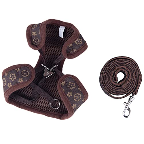 AMONIDA Hundeleine für Haustiere, atmungsaktiv, klassisch, fliehsicher, verstellbar, bequem, aus Polyester, für Spaziergänge AMONIDA Hundeleine für Haustiere, atmungsaktiv, klassisch, fliehsicher, verstellbar, bequem, aus Polyester, für Spaziergänge von AMONIDA