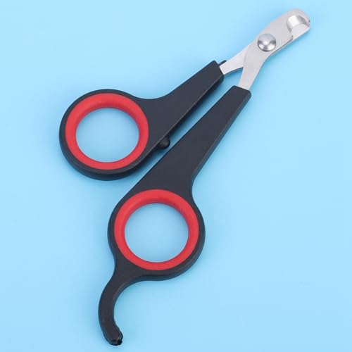 AMONIDA Papagei Nagelschere, Nagelschere aus Massivem Edelstahl 4,6 X 2,4 X 0,2 Zoll für Haustiervögel AMONIDA Papagei Nagelschere, Nagelschere aus Massivem Edelstahl 4,6 X 2,4 X 0,2 Zoll für Haustiervögel von AMONIDA