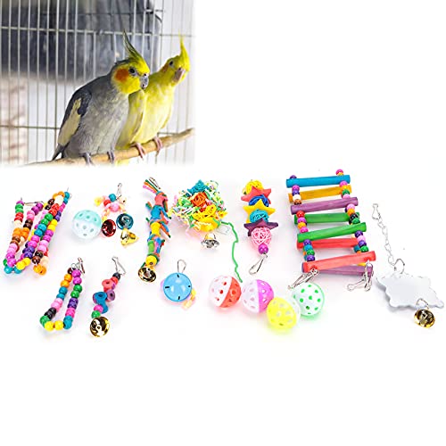 Vögel Schaukel Spielzeug, Vögel Hängespielzeug Vögel Kauen Schaukel Spielzeug 15 Packungen, um die Spielbedürfnisse von Vögeln zum Kauen und Ausruhen zu erfüllen von AMONIDA