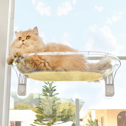 AMOSIJOY Transparente Katzen-Fensterstange, einfach zu installieren und zu reinigen, Katzenhängematte mit 4 vergrößerten Saugnäpfen für große Katzen, Panorama-Raumkapsel-Fenstersitz mit gemütlicher AMOSIJOY Transparente Katzen-Fensterstange, einfach zu installieren und zu reinigen, Katzenhängematte mit 4 vergrößerten Saugnäpfen für große Katzen, Panorama-Raumkapsel-Fenstersitz mit gemütlicher von AMOSIJOY