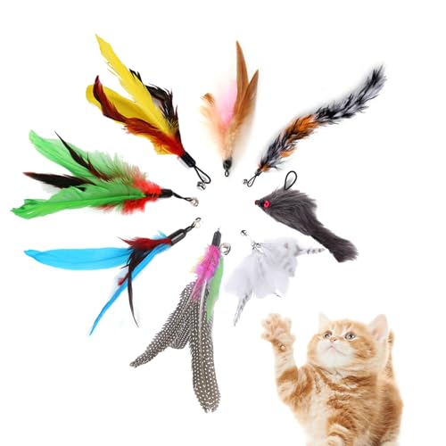 AMSGANK 8 Stück Katzenspielzeug Feder, Katzenangel Ersatzfedern Anhänger Federn mit Glocken Katzen Federspielzeug für Katzen Katzen Spielzeug für Katze AMSGANK 8 Stück Katzenspielzeug Feder, Katzenangel Ersatzfedern Anhänger Federn mit Glocken Katzen Federspielzeug für Katzen Katzen Spielzeug für Katze von AMSGANK