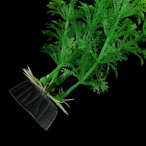 AMSLSIU Aquarium Kunstrasen Teich Landschaft Wasser Grünpflanze Dekoration Simulation Gefälschter Boden Dekorativ Langlebig AMSLSIU Aquarium Kunstrasen Teich Landschaft Wasser Grünpflanze Dekoration Simulation Gefälschter Boden Dekorativ Langlebig von AMSLSIU