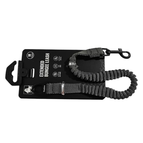 AMSLSIU Elastische Hundeleine für komfortable Trainingseinheiten. Leichte und belastende Nylon Hundetrainingsleine. Hundeleine für Hunde AMSLSIU Elastische Hundeleine für komfortable Trainingseinheiten. Leichte und belastende Nylon Hundetrainingsleine. Hundeleine für Hunde von AMSLSIU