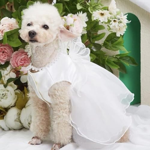 AMSLSIU Elegantes Hochzeitskleid für kleine Hunde, stilvolle und niedliche Haustierkleidung und langlebiges Hundehochzeitskleid für Hunde, luxuriöse Hundekleider AMSLSIU Elegantes Hochzeitskleid für kleine Hunde, stilvolle und niedliche Haustierkleidung und langlebiges Hundehochzeitskleid für Hunde, luxuriöse Hundekleider von AMSLSIU