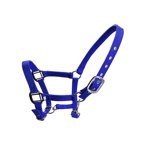 AMSLSIU Gepolsterter Halfter Pony Zaum Kopfkragen, verstellbare Zinklegierung, hohe Widerstandsfähigkeit, Schutzausrüstung, leicht zu tragen, rostfrei, Blau, M AMSLSIU Gepolsterter Halfter Pony Zaum Kopfkragen, verstellbare Zinklegierung, hohe Widerstandsfähigkeit, Schutzausrüstung, leicht zu tragen, rostfrei, Blau, M von AMSLSIU