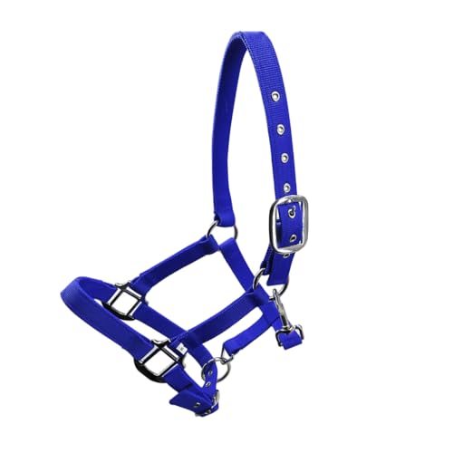 AMSLSIU Gepolsterter Halfter Pony Zaum Kopfkragen, verstellbare Zinklegierung, hohe Widerstandsfähigkeit, Schutzausrüstung, leicht zu tragen, rostfrei, Blau, S AMSLSIU Gepolsterter Halfter Pony Zaum Kopfkragen, verstellbare Zinklegierung, hohe Widerstandsfähigkeit, Schutzausrüstung, leicht zu tragen, rostfrei, Blau, S von AMSLSIU