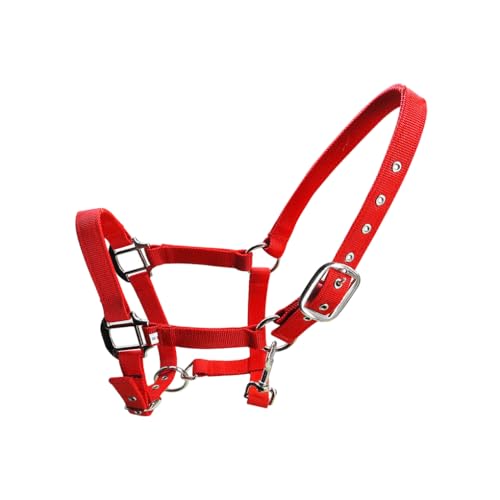 AMSLSIU Gepolsterter Halfter Pony Zaum Kopfkragen, verstellbare Zinklegierung, hohe Widerstandsfähigkeit, Schutzausrüstung, leicht zu tragen, rostfrei, Rot, XS AMSLSIU Gepolsterter Halfter Pony Zaum Kopfkragen, verstellbare Zinklegierung, hohe Widerstandsfähigkeit, Schutzausrüstung, leicht zu tragen, rostfrei, Rot, XS von AMSLSIU