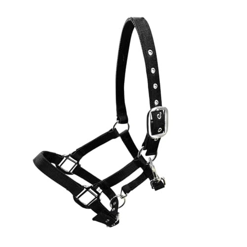 AMSLSIU Gepolsterter Halfter Pony Zaum Kopfkragen, verstellbare Zinklegierung, hohe Widerstandsfähigkeit, Schutzausrüstung, leicht zu tragen, rostfrei, Schwarz, XL AMSLSIU Gepolsterter Halfter Pony Zaum Kopfkragen, verstellbare Zinklegierung, hohe Widerstandsfähigkeit, Schutzausrüstung, leicht zu tragen, rostfrei, Schwarz, XL von AMSLSIU