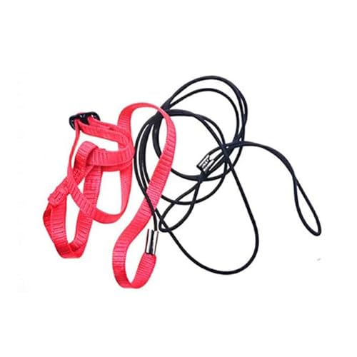 AMSLSIU Pet Leash Nylon Flying Harness Garden Yard Walking Strap Trainingsseil Verstellbare Anti Biss Sicherheitsversorgung mit Haken AMSLSIU Pet Leash Nylon Flying Harness Garden Yard Walking Strap Trainingsseil Verstellbare Anti Biss Sicherheitsversorgung mit Haken von AMSLSIU