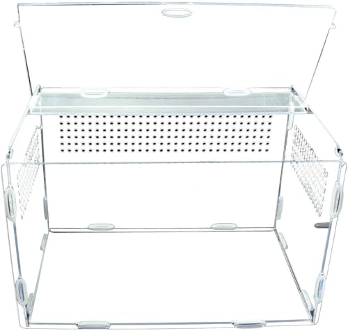 AMSLSIU Transparente Acryl Reptilien Zuchtbox, Exquisite Verarbeitung, Fluchtschutz, breites Anwendungsspektrum, langlebig und robust AMSLSIU Transparente Acryl Reptilien Zuchtbox, Exquisite Verarbeitung, Fluchtschutz, breites Anwendungsspektrum, langlebig und robust von AMSLSIU