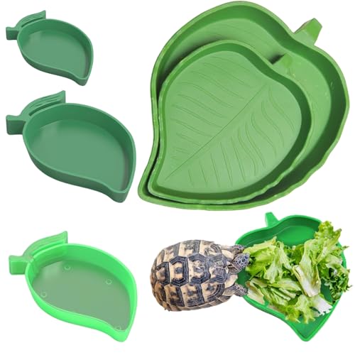 AMSNINK 5er Set Terrarien Schalen für Wasser & Futter - Mango und Blattform, Anti-Rutsch Näpfe für Schildkröten, Schnecken, Echsen, Schlangen, Geckos in Terrarium AMSNINK 5er Set Terrarien Schalen für Wasser & Futter - Mango und Blattform, Anti-Rutsch Näpfe für Schildkröten, Schnecken, Echsen, Schlangen, Geckos in Terrarium von AMSNINK