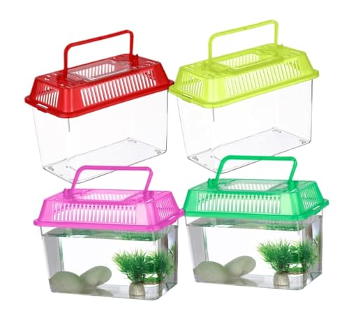 Terrarium Schnecken 4 Stücke Fisch Tank Pet Box Tank Fisch Tank Dekoration Kunststoff Springspinne Terrarium Terrarium Schnecken 4 Stücke Fisch Tank Pet Box Tank Fisch Tank Dekoration Kunststoff Springspinne Terrarium von AMYSTY