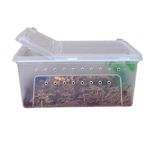 Terrarium Schnecken Reptilien-Futterbox, Brutbehälter, Tierhäuser Springspinne Terrarium(White) von AMYSTY