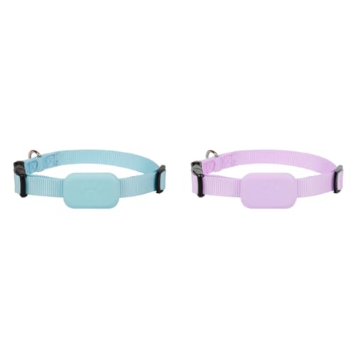 AMZLORD for Hundekragen einstellbare Haustier Anti Lost for Katzenhunde (blau) von AMZLORD