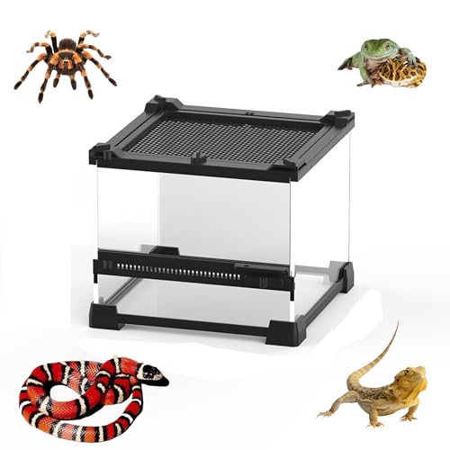 AMZTEMU Glas Vivarium, Reptile Terrarium Box, Reptile Food Box, Portable Habitat for Reptiles and Amphibians, Suitable for Spiders, Lizards, Frogs, Scorpions, Barbecues, Geckos(20 * 20 * 14.5cm) von AMZTEMU
