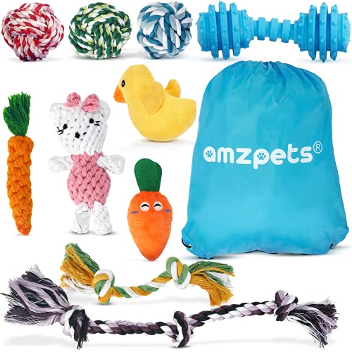 AMZpets Hundespielzeug unzerstörbar - 10-teiliges Hunde- und Welpenspielzeug-Set für kleine bis mittelgroße Rassen - Hunde Spielsachen aus Baumwolle AMZpets Hundespielzeug unzerstörbar - 10-teiliges Hunde- und Welpenspielzeug-Set für kleine bis mittelgroße Rassen - Hunde Spielsachen aus Baumwolle von AMZpets
