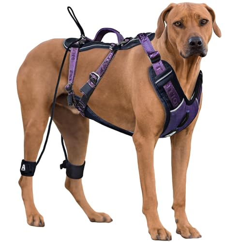 ANAFNI Easy Walk Hundegeschirr für große Hunde, strapazierfähig, taktisches Hundegeschirr mit Griff, einfache Kontrolle und Training, bessere Leinenmanieren (Mitternachtsviolett, Größe M) von ANAFNI