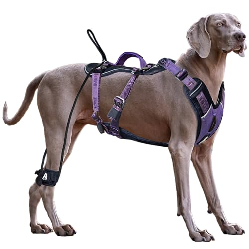 ANAFNI Easy Walk Hundegeschirr für große Hunde, strapazierfähig, taktisches Hundegeschirr mit Griff, einfache Kontrolle und Training, bessere Leinenmanieren (Mitternachtsviolett, Größe M) von ANAFNI
