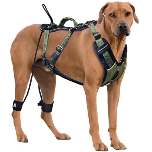 ANAFNI Easy Walk Hundegeschirr für große Hunde, strapazierfähig, taktisches Hundegeschirr mit Griff, einfache Kontrolle und Training, bessere Leinenmanieren (Moosgrün, Größe L) von ANAFNI