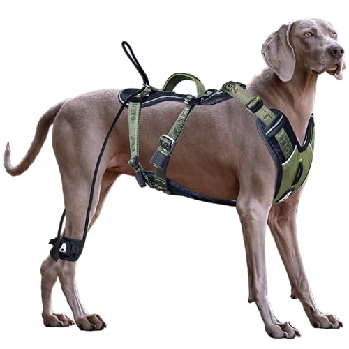 ANAFNI Easy Walk Hundegeschirr für große Hunde, strapazierfähig, taktisches Hundegeschirr mit Griff, einfache Kontrolle und Training, bessere Leinenmanieren (Moosgrün, Größe L) von ANAFNI