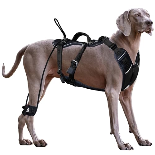 ANAFNI Hundegeschirr für große Hunde, kein Ziehen, strapazierfähig, taktisches Hundegeschirr mit Griff, einfache Kontrolle und Training, bessere Leinenmanieren (Onyx-Schwarz, Größe M) von ANAFNI