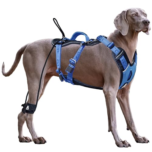 ANAFNI Hundegeschirr für große Hunde, kein Ziehen, strapazierfähig, taktisches Hundegeschirr mit Griff, einfache Kontrolle und Training, bessere Leinenmanieren (Ozeanblau, Größe M) von ANAFNI