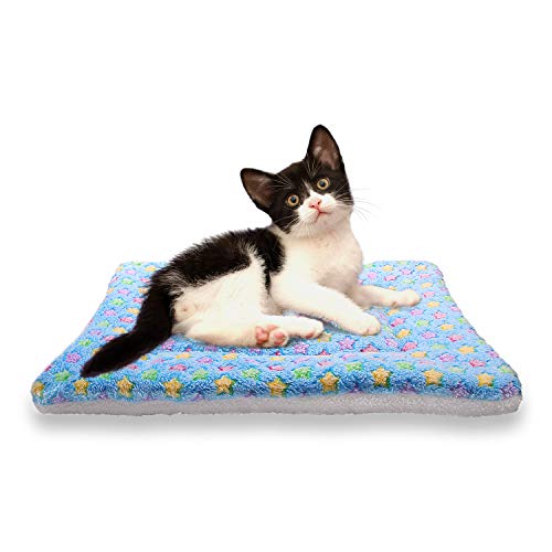 ANBIWANGLUO Hund Katze-Decken für Haustier-Schlaf weiches 4 Size 4 Color（Blau Dicker,Large von ANBIWANGLUO