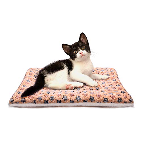 ANBIWANGLUO Hund Katze-Decken für Haustier-Schlaf weiches 4 Size 4 Color（Braun Dicker,Medium von ANBIWANGLUO