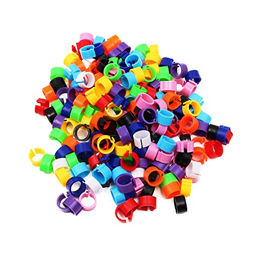 ANCLLO 200 Stück 8 mm Keine Zahlen Vogelbeinbänder Kunststoff mehrfarbige Taubenfußringe Clip-on-Beinringe für Küken Tauben Papageien Öffnung identifizieren Beinmanschettenringe – 10 Farben gemischt ANCLLO 200 Stück 8 mm Keine Zahlen Vogelbeinbänder Kunststoff mehrfarbige Taubenfußringe Clip-on-Beinringe für Küken Tauben Papageien Öffnung identifizieren Beinmanschettenringe – 10 Farben gemischt von ANCLLO