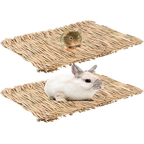 Grasmatte für Kaninchen, Kaninchen, Kauspielzeug, gewebte Bettmatte für Meerschweinchen, Chinchilla, Eichhörnchen, Hamster, Katzen, Hunde und Kleintiere (2 x Grasmatte) von ANDES