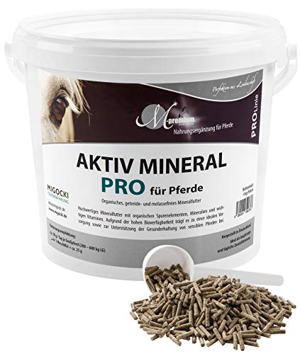 MIGOCKI AKTIV Mineral PRO – 4 kg – Mineralfutter für ältere Pferde – Organische Bindung, Getreide- und Melassfrei, Pellets von MIGOCKI