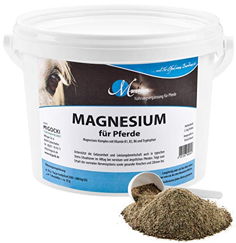 MIGOCKI Magnesium für Pferde Futterergänzung getreidefreies Pulver 1,5 kg von MIGOCKI
